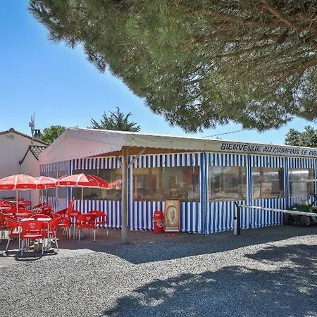 Кемпинг Mobil-home Pour 7 Avec Terrasse Et Equipements - Api-1-52-492 *
