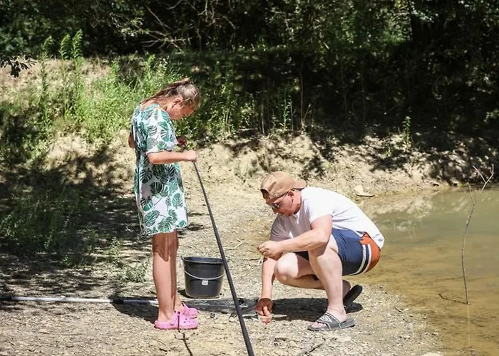 Mobil-home Pour 7 Avec Terrasse Et Equipements - Api-1-52-492 Les Achards (Vendee)